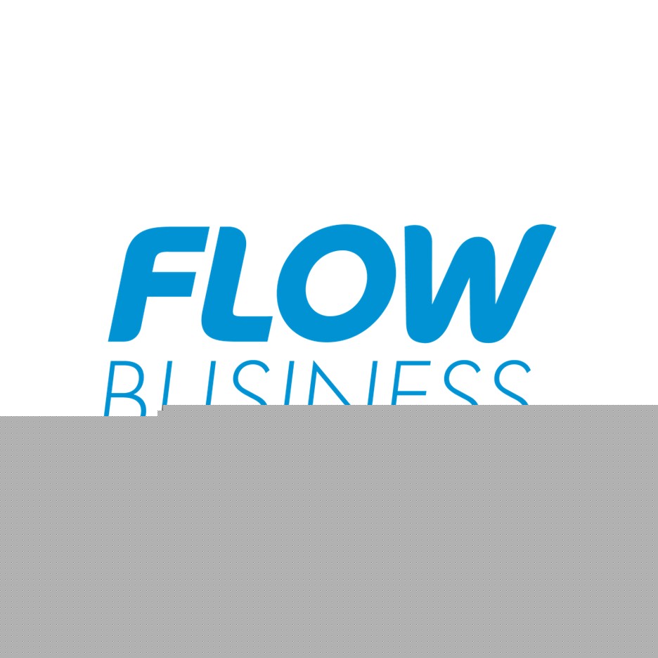 Flow business.jpg