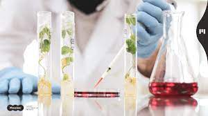 SPAC Deals in Plant-Based Proteins and Med Tech